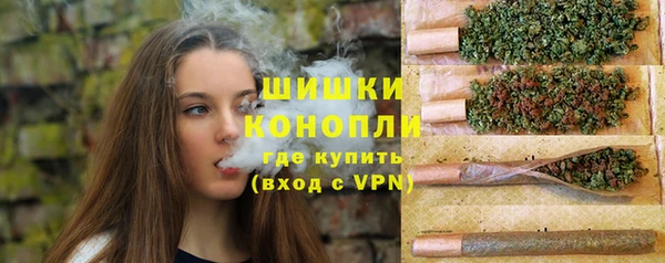 прущие грибы Вязники